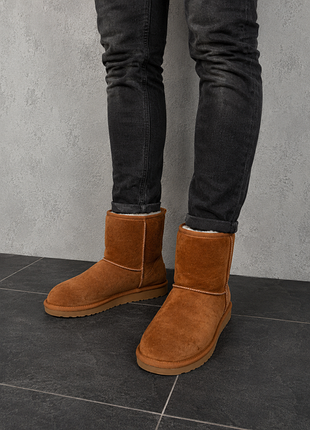Замшевые сапоги от бренда koola short от koolaburra by ugg