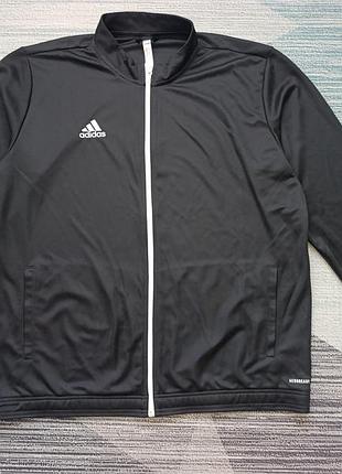 Спортивная кофта / олимпийка adidas entrada 22 track jacket (оригинал)