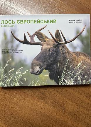 Лось європейський, монета 5 гривень 2025 року в сувенірному пакованні