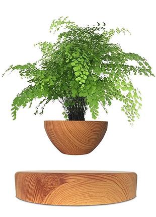 Магнітний левітаційний горщик для рослин hcnt magnetic levitating pot m10-ps wood grain