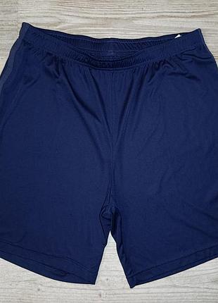 Шорты мужские спортивные puma drycell