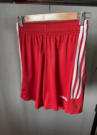 Чоловічи шорти adidas