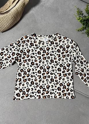 Реглан zara 11-12 р