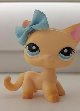 Игрушка кошка стоянка петл пет шоп петшоп lps littlest pet shop фигурки фигурка коток лпс littelest pet shop pet shops petshops
