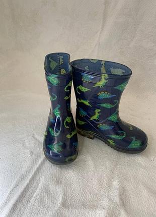 Резиновые сапоги 22 г.