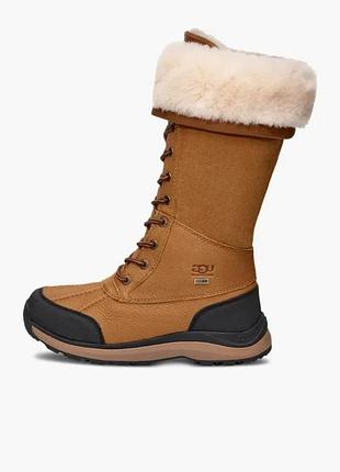 Настоящие оригинальные!!️сапоги ugg