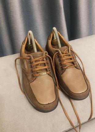 Кросівки -clarks