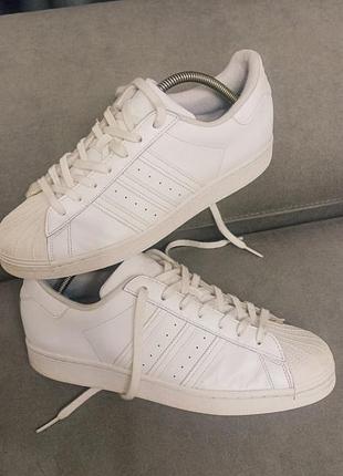 Кроссовки adidas superstar