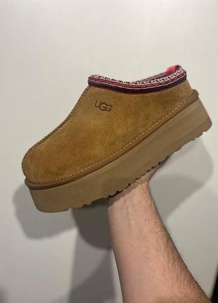 Tasman platform chestnut