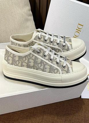 Жіночі низькі сірі кеди dior walk'n'dior платформа текстиль oblique кросівки діор 40