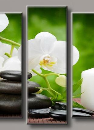 Модульная картина на холсте из 5-ти частей "spa"