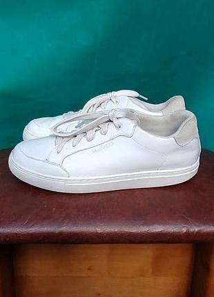 Кроссовки женские кожаные skechers, 38(25) см.