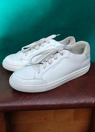 Кросівки жіночі шкіряні skechers, 38(25) см.