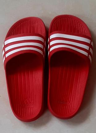 Шльопанці adidas