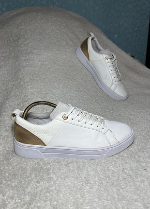 Жіночі шкіряні кросівки ted baker 39 розмір