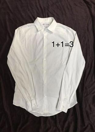 Zara 💙чоловічий одяг/біла  сорочка з довгими рукавами💛36/s/44