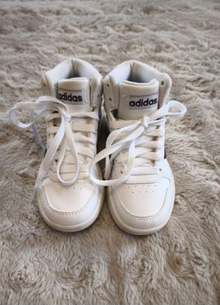 Хайтопи, 11 розмір, нові, 18 см adidas