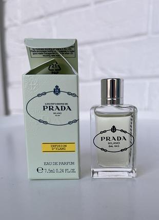 Infusion d'ylang prada