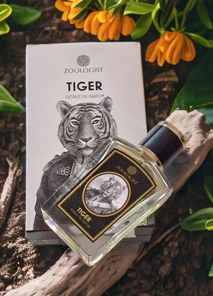 Розпив zoologist tiger💥оригінал затест аромату ціна за 0,5 мл