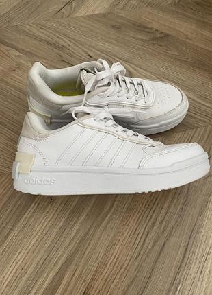 Adidas оригінал