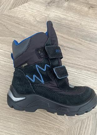 Ecco оригінал 2