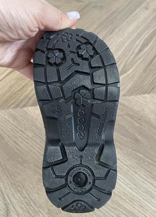 Ecco оригінал 3