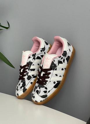 Жіночі трендові кеди adidas samba og cow print