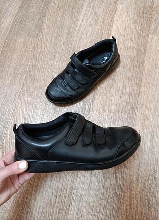 Кожаные туфли - кроссовки clarks