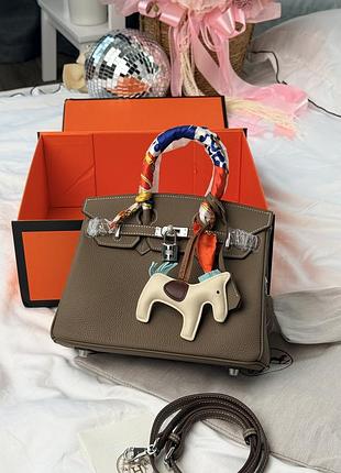 Hermes birkin 25 bag in etouoe togo leather with silver