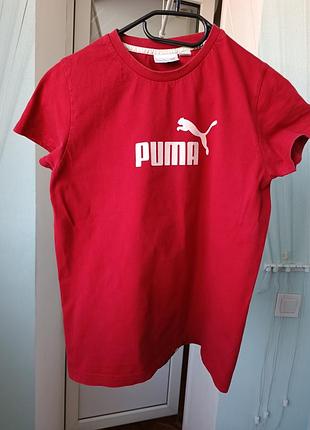 Червона бавовняна футболка puma. р. м(38-40)
