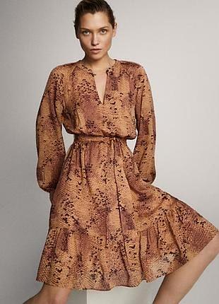 Сукня massimo dutti
