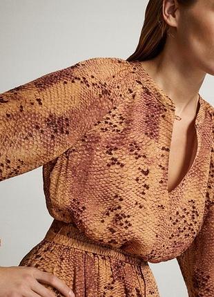 Сукня massimo dutti 2