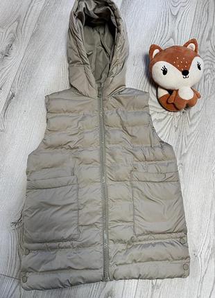 Дилетка zara