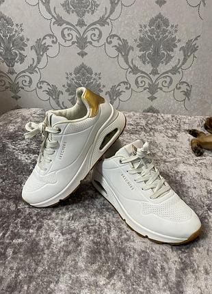 Кросівки skechers