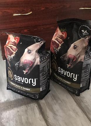 Корм savory для собак