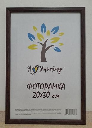 Фоторамка 20х30 см., коричнева без золотої вставки, багет 1210-в186 б/з оргскло + двп