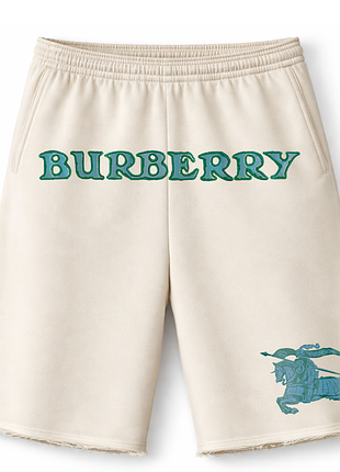 Мужские оверсайз шорты burberry