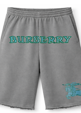 Чоловічі оверсайз шорти burberry