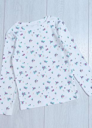 Реглан f&amp;f 5-6 лет