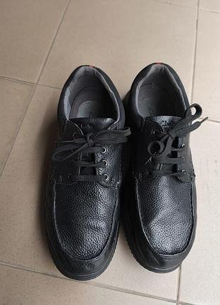 Кожаные шорты clarks 2