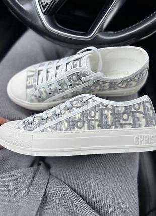Кеди christian dior