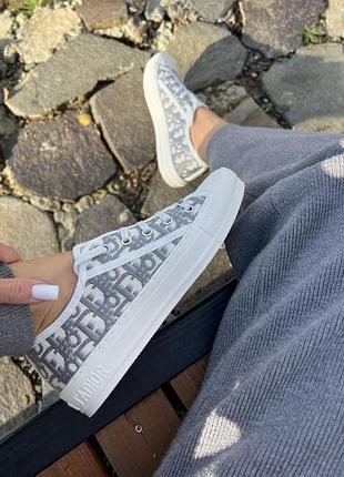 Кеди christian dior
