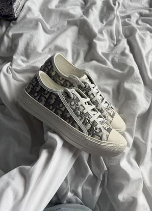 Кеди christian dior