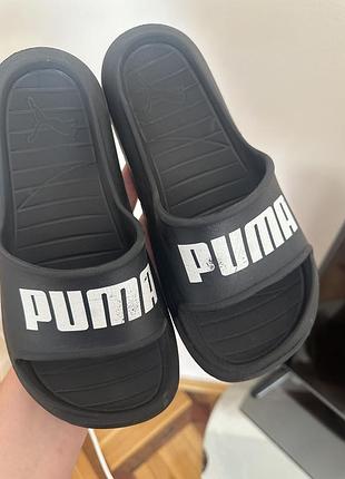 Сланці puma