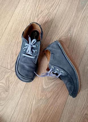 Мокасины и замшевые серые clarks