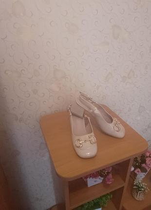 Жіночі балетки