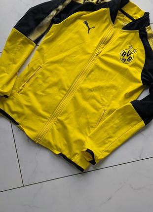 Олимпийка puma