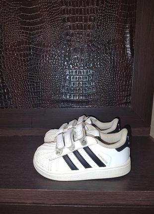 Кросівки adidas  superstar