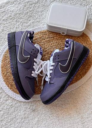 Стильные женские кроссовки nike sb dunk low purple lobster