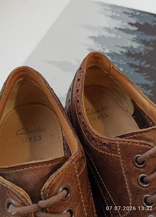 Clarks montacute wing оригінал. 5